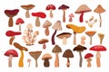 Mushrooms decorative collection with different elements