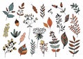 Hand drawn collection with different seasonal plants