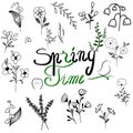 Spring set of doodles flowers and leaves, springtime vector illustration