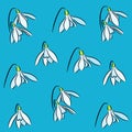 Snowdrop flowers background Royalty Free Stock Photo
