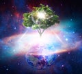 Tree of life, cosmic womb, Earth creation, portal universal love, life, healing energyconcept Royalty Free Stock Photo