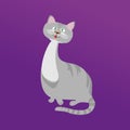 Cat. Illustration of cute grey cat cartoon Royalty Free Stock Photo