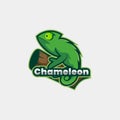 Chameleon animal simple Mascot Logo Esport cartoon Logo Team stock images Royalty Free Stock Photo