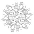 Doodle pumpkin, mushroom, chestnut and leaf in a round mandala on white isolated background. Royalty Free Stock Photo