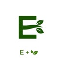 Letter E with a leaf concept. Very suitable in various natural business purposes also for icon, symbol, logo.