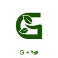 Letter G with a leaf concept. Very suitable in various natural business purposes also for icon, symbol, logo.