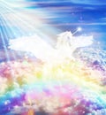 Unicorn over the Rainbow on sky above clouds close up, dreams, wishes Royalty Free Stock Photo