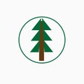 Fir tree logo vector in a circle