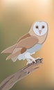 Flat wild owl drawing brown vector Royalty Free Stock Photo