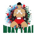 Muay thai gym Royalty Free Stock Photo