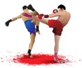 kickboxing fight