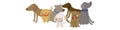 Set of vector flat dogs different colors