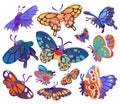 A set of cute cartoon butterflies isolated on a white background. Vector illustration. Royalty Free Stock Photo