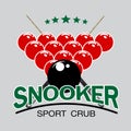 Snooker sport logo Royalty Free Stock Photo