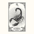 Scorpio Zodiac Sign Illustration, Black and White Scorpion Astrology Art Royalty Free Stock Photo
