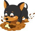 Cute Playful Doberman Puppy Dog Cartoon Character Digging Ground With Bone Royalty Free Stock Photo