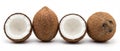 Four coconuts two whole and two halves, arranged in a row on a white background. Royalty Free Stock Photo