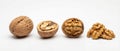 Four walnuts in various forms whole, cracked, shelled, and peeled kernels. Royalty Free Stock Photo