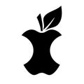 Apple core icon Royalty Free Stock Photo