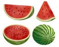 Set of watercolor watermelon. Hand drawn summer watermelon illustration