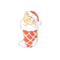 Cute kitten in a Christmas stocking watercolor illustration