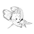 Arowana fish swim hand drawn illustration Royalty Free Stock Photo