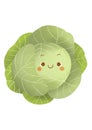 A cute cartoon vegetables. This is a collard greens.