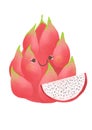 Fruit cartoon used in teaching for children dragon fruit. Royalty Free Stock Photo