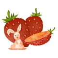 Lovely rabbit and cute strawberry.