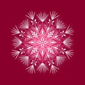 Beautiful snowflake mandala ornament design