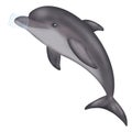 dolphin in the water, plastic bag, save the ocean