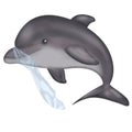 dolphin in the water, plastic bag, save the ocean