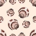 Semirealistic pattern of shell .Hand-drawn shell pattern. Shell isolated pattern for background. Royalty Free Stock Photo