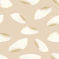 Semirealistic pattern of shell .Hand-drawn shell pattern. Shell isolated pattern for background. Royalty Free Stock Photo