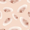 Semirealistic pattern of shell .Hand-drawn shell pattern. Shell isolated pattern for background. Royalty Free Stock Photo