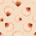 Semirealistic pattern of shell .Hand-drawn shell pattern. Shell isolated pattern for background. Royalty Free Stock Photo
