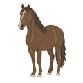 Elegant Brown Horse â Animal Illustration for Nature and Farm Themes Royalty Free Stock Photo
