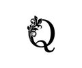 Elegant letter Q. Graceful royal style. Calligraphic beautiful logo.