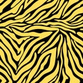 Black and Yellow Zebra Pattern