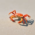 Crab on a beach ai generated image Royalty Free Stock Photo