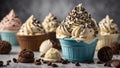 Deliciously premium cookies cream gelato ice cream, fresh cream, milk, crushed chocolate