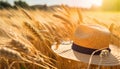 Ripe wheat crop field for harvesting with a lady hat Royalty Free Stock Photo