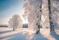 User winter landscape with trees Royalty Free Stock Photo