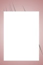 paster pink frame background with text box Royalty Free Stock Photo