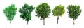 set of green trees isolated on white background. Royalty Free Stock Photo