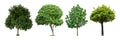 set of green trees isolated on white background. Royalty Free Stock Photo