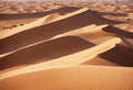 Panorama of sand dunes Sahara Desert at sunset. Endless dunes of yellow sand. Desert landscape Waves sand nature Royalty Free Stock Photo