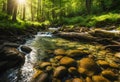 Deep forest stream with crystal clear water in the sunshine Royalty Free Stock Photo