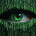 Eye looking through green cyber wall Royalty Free Stock Photo