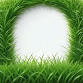 Eco background white along the perimeter green grass grows bg for post